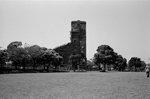 Uʐ^Ao 2011.05.02Yokohama Ikon NOKTON35mmF1.2 400TX 008 2011.05.02 l IKON NOKTON35/1.2 400TX D76 1:1