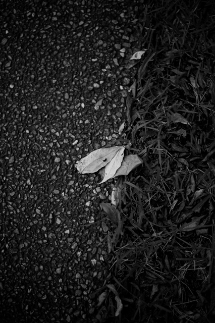 Uʐ^Ao f-2011.08.06Yokohama-014-D3-AF50mmF1.8G-3319.jpg 2011.08.06<BR>iCgY[VA<BR>GRD3 D3 AF50/1.8G