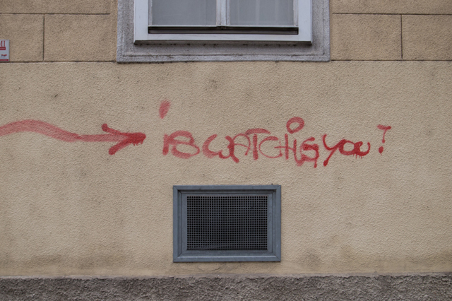 Uʐ^Ao f-2013.02.03~10-VIENNA-GRD4-013.jpg 2013.02.03-10<BR>EB[<BR>GRD4