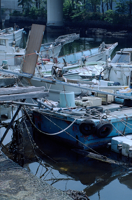 Uʐ^Ao f-2013.06.09Yokohama-IIIf-Elmar50mmF3.5-Ektar100-053.jpg 2013.06.09<BR>ߏEl-q<BR>Vf Elmar50/3.5<BR>Ektar100