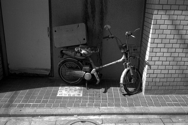 Uʐ^Ao f-2013.06.23Yokohama-M4-Summaron35mmF3.5-BW400CN-029.jpg 2013.06.23<BR>l<BR>M4 Summaron35/3.5<BR>BW400CN