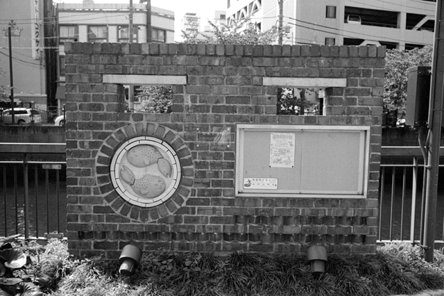 Uʐ^Ao f-2013.06.23Yokohama-M4-Summaron35mmF3.5-BW400CN-037.jpg 2013.06.23<BR>l<BR>M4 Summaron35/3.5<BR>BW400CN