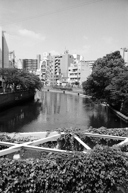 Uʐ^Ao f-2013.06.23Yokohama-M4-Summaron35mmF3.5-BW400CN-038.jpg 2013.06.23<BR>l<BR>M4 Summaron35/3.5<BR>BW400CN