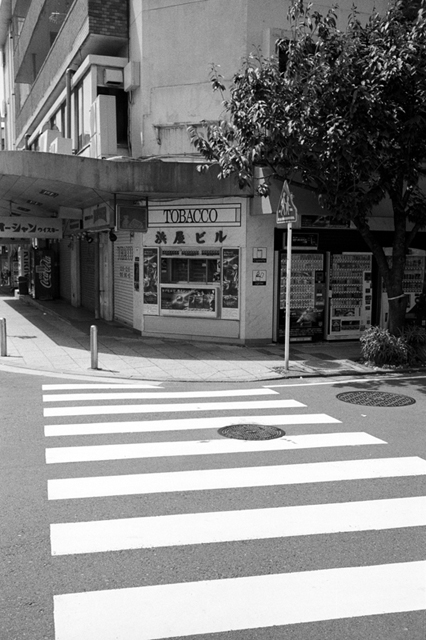 Uʐ^Ao f-2013.06.23Yokohama-M4-Summaron35mmF3.5-BW400CN-040.jpg 2013.06.23<BR>l<BR>M4 Summaron35/3.5<BR>BW400CN