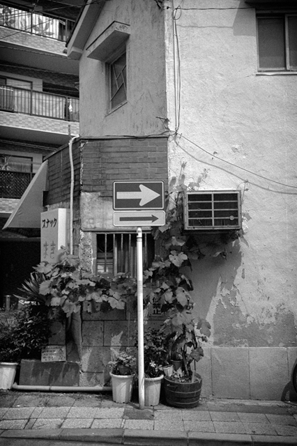 Uʐ^Ao f-2013.06.29Yokohama-Summaron35mmF3.5-BW400CN-18.jpg 2013.06.29<BR>l<BR>IKON Summaron35/3.5<BR>BW400CN