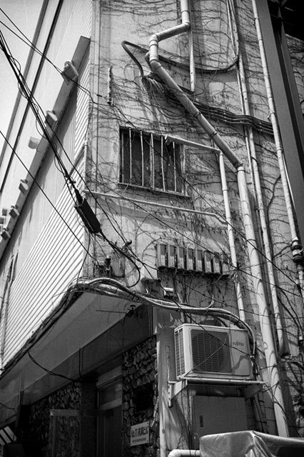 Uʐ^Ao f-2013.06.29Yokohama-Summaron35mmF3.5-BW400CN-30.jpg 2013.06.29<BR>l<BR>IKON Summaron35/3.5<BR>BW400CN