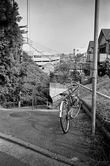 Uʐ^Ao f-2013.07.13Yokohama-IKON-Y2-Summaron35mmF3.5-400TX-001.jpg 2013.07.13<BR>l<BR>IKON Y2 Summaron35/3.5<BR>400TX D76 1:1