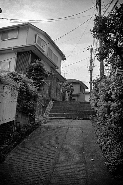 Uʐ^Ao f-2013.07.13Yokohama-IKON-Y2-Summaron35mmF3.5-400TX-004.jpg 2013.07.13<BR>l<BR>IKON Y2 Summaron35/3.5<BR>400TX D76 1:1