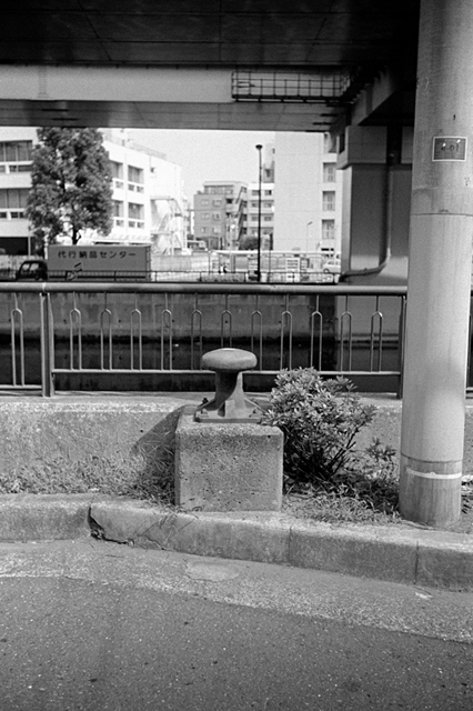 Uʐ^Ao f-2013.07.13Yokohama-IKON-Y2-Summaron35mmF3.5-400TX-013.jpg 2013.07.13<BR>l<BR>IKON Y2 Summaron35/3.5<BR>400TX D76 1:1