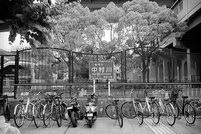 Uʐ^Ao f-2013.07.13Yokohama-IKON-Y2-Summaron35mmF3.5-400TX-019.jpg 2013.07.13<BR>l<BR>IKON Y2 Summaron35/3.5<BR>400TX D76 1:1