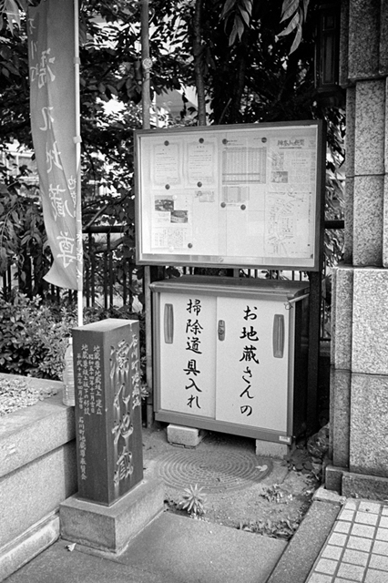 Uʐ^Ao f-2013.07.13Yokohama-IKON-Y2-Summaron35mmF3.5-400TX-021.jpg 2013.07.13<BR>l<BR>IKON Y2 Summaron35/3.5<BR>400TX D76 1:1