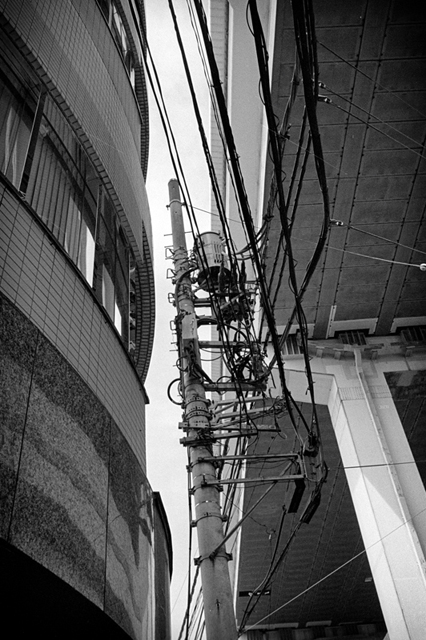 Uʐ^Ao f-2013.07.13Yokohama-IKON-Y2-Summaron35mmF3.5-400TX-025.jpg 2013.07.13<BR>l<BR>IKON Y2 Summaron35/3.5<BR>400TX D76 1:1