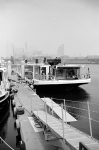 Uʐ^Ao 2013.07.14Yokohama IKON Y2 Summaron35mmF3.5 400TX 15 2013.07.14 l IKON Y2 Summaron35/3.5 400TX D76 1:1