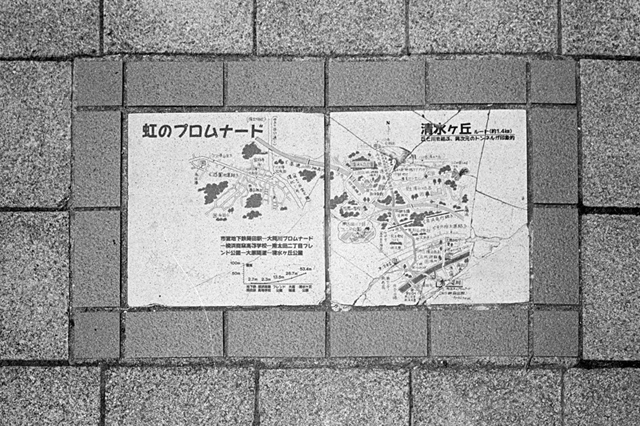 Uʐ^Ao f-2013.07.20Yokohama-IKON-Summicron35mmF2-400TX-11.jpg 2013.07.20<BR>l<BR>IKON Summicron35/F2<BR>400TX D76 1:1