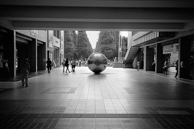 Uʐ^Ao f-2013.07.27Yokohama-IKON-GR28mmF2.8-400TX-11.jpg 2013.07.27<BR>l<BR>IKON GR28/2.8<BR>400TX D76 1:1