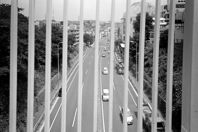 Uʐ^Ao f-2013.07.27Yokohama-IKON-GR28mmF2.8-400TX-22.jpg 2013.07.27<BR>l<BR>IKON GR28/2.8<BR>400TX D76 1:1