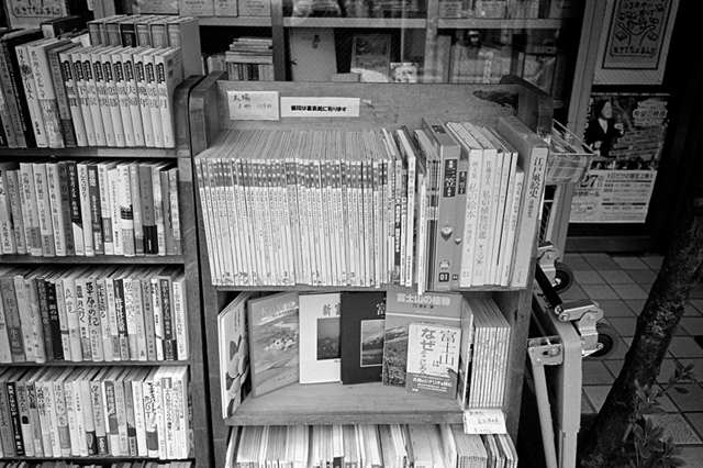 Uʐ^Ao f-2013.07.27Yokohama-IKON-GR28mmF2.8-400TX-31.jpg 2013.07.27<BR>l<BR>IKON GR28/2.8<BR>400TX D76 1:1