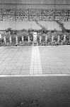 Uʐ^Ao 2013.07.27Yokohama IKON GR28mmF2.8 400TX 17 2013.07.27 l IKON GR28/2.8 400TX D76 1:1