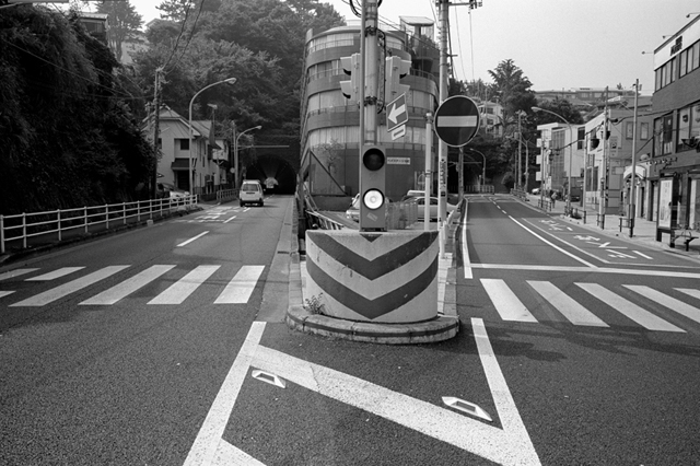 Uʐ^Ao f-2013.08.10Yokohama-IKON-Elmarit28mmF2.8-ACROS100-18.jpg 2013.08.10<BR>l<BR>IKON Elmarit28/2.8<BR>ACROS100 D76 1:1