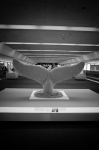 Uʐ^Ao 2013.09.04 07SEA SFO Boise GRD5 033 2013.09.04-07 SEAASFOA{CW[ GRD5