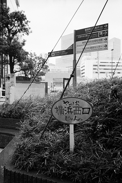 Uʐ^Ao f-2013.11.02Yokohama-M4-Summilux35mmF1.4-400TX-09.jpg 2013.11.02<BR>l<BR>M4 Summilux35/1.4<BR>400TX D76 1:1