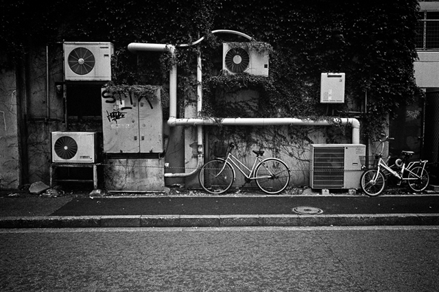 Uʐ^Ao f-2013.11.10-2Yokohama-M4-Summilux35mmF1.4-400TX-02.jpg 2013.11.10<BR>l-2<BR>M4 Summilux35mmF1.4<BR>400TX D76 1:1