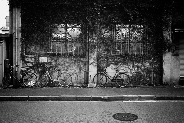 Uʐ^Ao f-2013.11.10-2Yokohama-M4-Summilux35mmF1.4-400TX-04.jpg 2013.11.10<BR>l-2<BR>M4 Summilux35mmF1.4<BR>400TX D76 1:1