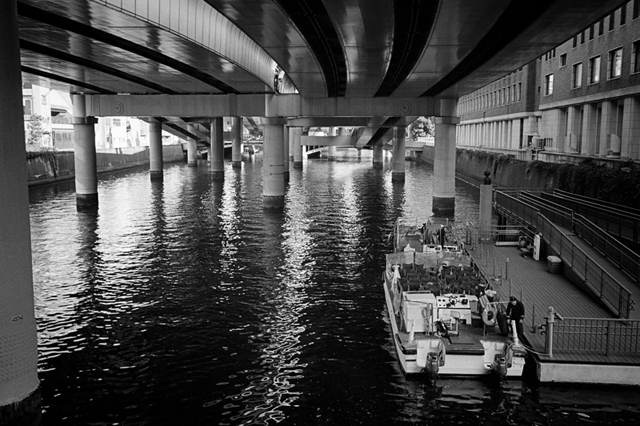 Uʐ^Ao f-2013.11.16Tokyo-M4-Summilux35mmF1.4-400TX-07.jpg 2013.11.16<BR><BR>M4 Summilux35mmF1.4<BR>400TX