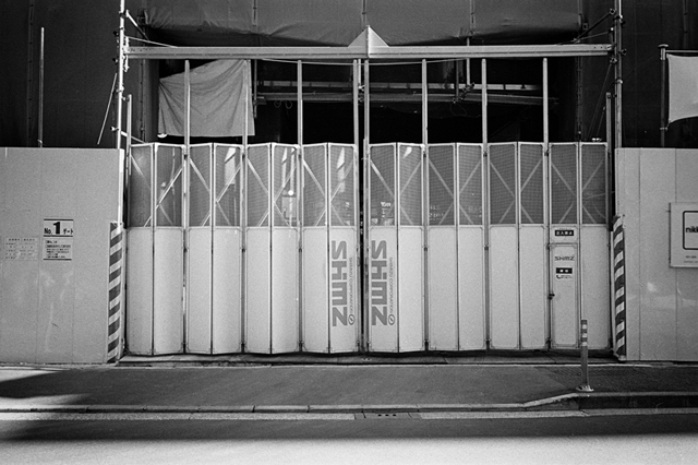 Uʐ^Ao f-2013.11.16Tokyo-M4-Summilux35mmF1.4-400TX-14.jpg 2013.11.16<BR><BR>M4 Summilux35mmF1.4<BR>400TX