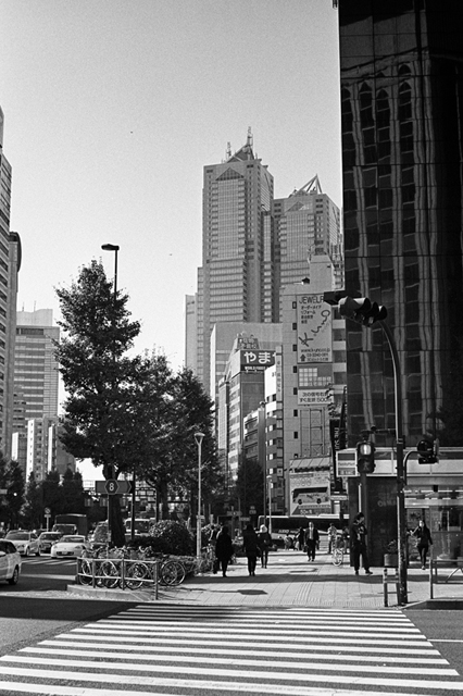 Uʐ^Ao f-2013.11.23Tokyo&Yokohama-IKON-Summilux50mmF1.4-400TX-09.jpg 2013.11.23<BR>El<BR>IKON Summilux50mmF1.4<BR>400TX D76 1:1