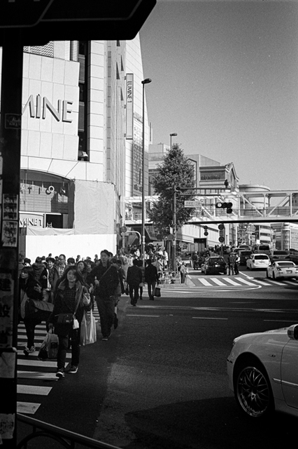 Uʐ^Ao f-2013.11.23Tokyo&Yokohama-IKON-Summilux50mmF1.4-400TX-11.jpg 2013.11.23<BR>El<BR>IKON Summilux50mmF1.4<BR>400TX D76 1:1