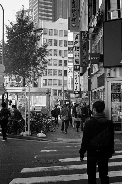 Uʐ^Ao f-2013.11.23Tokyo&Yokohama-IKON-Summilux50mmF1.4-400TX-14.jpg 2013.11.23<BR>El<BR>IKON Summilux50mmF1.4<BR>400TX D76 1:1