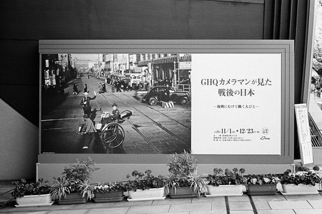 Uʐ^Ao f-2013.11.23Tokyo&Yokohama-IKON-Summilux50mmF1.4-400TX-19.jpg 2013.11.23<BR>El<BR>IKON Summilux50mmF1.4<BR>400TX D76 1:1