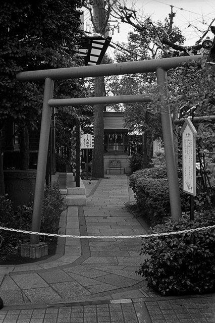 Uʐ^Ao f-2013.12.07Yokohama-M4-Summilux50mmF1.4-400TX-07.jpg 2013.12.07<BR>l<BR>M4 Summilux50mmF1.4<BR>400TX D76 1:1