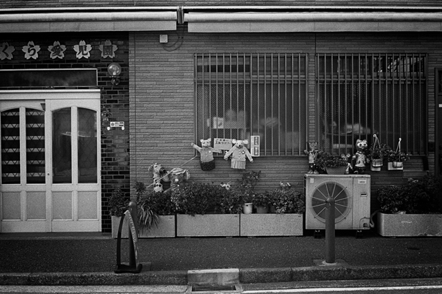 Uʐ^Ao f-2013.12.07Yokohama-M4-Summilux50mmF1.4-400TX-13.jpg 2013.12.07<BR>l<BR>M4 Summilux50mmF1.4<BR>400TX D76 1:1