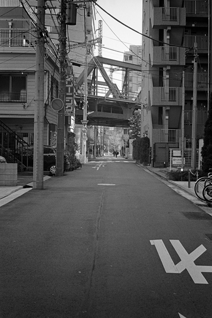 Uʐ^Ao f-2013.12.07Yokohama-M4-Summilux50mmF1.4-400TX-14.jpg 2013.12.07<BR>l<BR>M4 Summilux50mmF1.4<BR>400TX D76 1:1