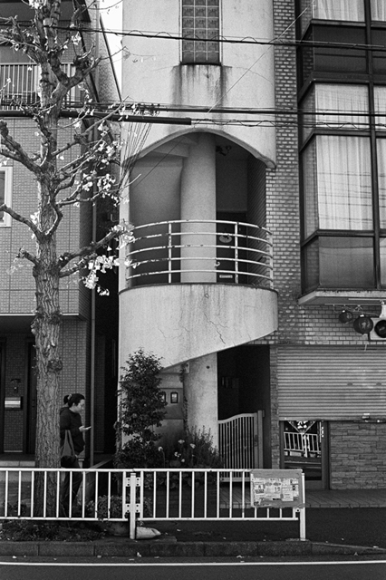 Uʐ^Ao f-2013.12.07Yokohama-M4-Summilux50mmF1.4-400TX-31.jpg 2013.12.07<BR>l<BR>M4 Summilux50mmF1.4<BR>400TX D76 1:1