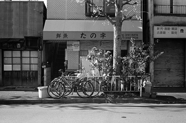 Uʐ^Ao f-2013.12.07Yokohama-M4-Summilux50mmF1.4-400TX-32.jpg 2013.12.07<BR>l<BR>M4 Summilux50mmF1.4<BR>400TX D76 1:1