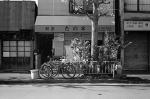 Uʐ^Ao 2013.12.07Yokohama M4 Summilux50mmF1.4 400TX 32 2013.12.07 l M4 Summilux50mmF1.4 400TX D76 1:1