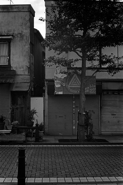 Uʐ^Ao f-2013.12.08Yokosuka-Shioiri-M4-Summilux50mmF1.4-400TX-08.jpg 2013.12.08<BR>{ <BR>M4 Summilux50mmF1.4<BR>400TX D76 1:1