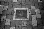 Uʐ^Ao 2013.12.08Yokosuka Shioiri M4 Summilux50mmF1.4 400TX 10 2013.12.08 {  M4 Summilux50mmF1.4 400TX D76 1:1