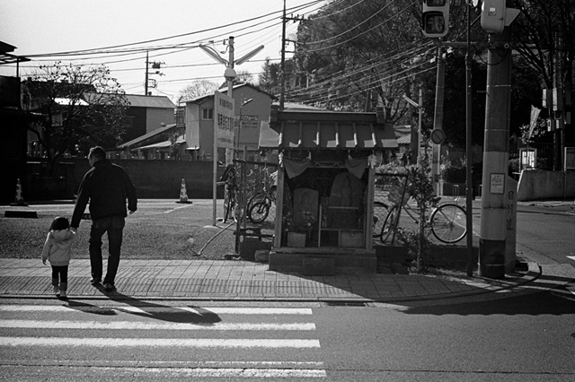 Uʐ^Ao f-2013.12.15Yokohama-M4-Summilux50mmF1.4-400TX-11.jpg 2013.12.15<BR>l<BR>M4 Summilux50mmF1.4<BR>400TX D76 1:1