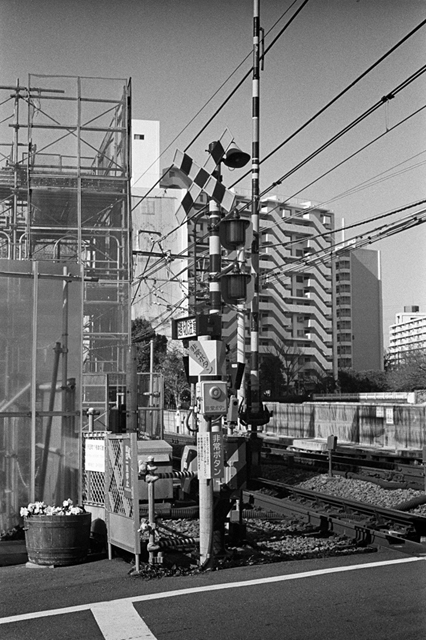 Uʐ^Ao f-2013.12.15Yokohama-M4-Summilux50mmF1.4-400TX-12.jpg 2013.12.15<BR>l<BR>M4 Summilux50mmF1.4<BR>400TX D76 1:1