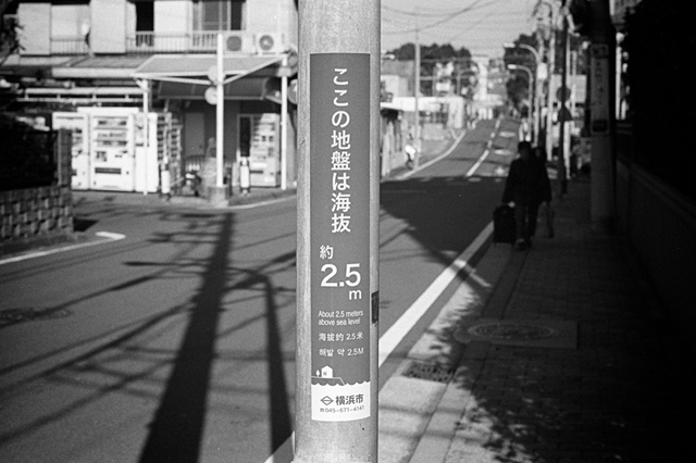 Uʐ^Ao f-2013.12.15Yokohama-M4-Summilux50mmF1.4-400TX-13.jpg 2013.12.15<BR>l<BR>M4 Summilux50mmF1.4<BR>400TX D76 1:1