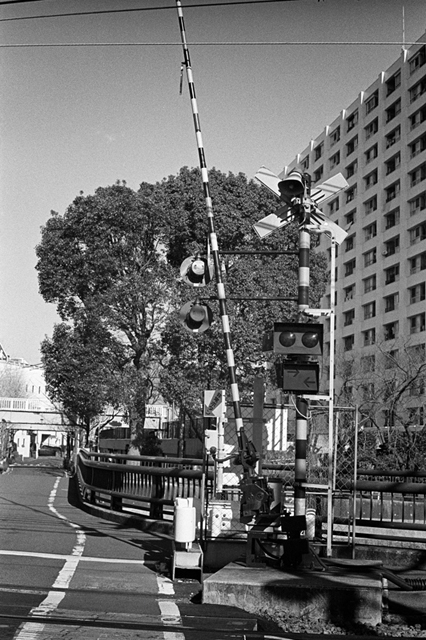 Uʐ^Ao f-2013.12.15Yokohama-M4-Summilux50mmF1.4-400TX-14.jpg 2013.12.15<BR>l<BR>M4 Summilux50mmF1.4<BR>400TX D76 1:1