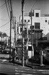 Uʐ^Ao 2013.12.15Yokohama M4 Summilux50mmF1.4 400TX 27 2013.12.15 l M4 Summilux50mmF1.4 400TX D76 1:1