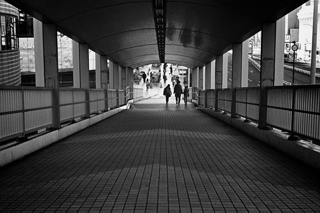 Uʐ^Ao f-2013.12.21Shin-yokohama-M4-Summilux50mmF1.4-400TX-022.jpg 2013.12.21<BR>Vl<BR>M4 Summilux50mmF1.4<BR>400TX D76 1:1