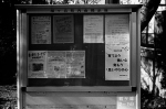 Uʐ^Ao 2014.01.02Yokhama F2 Ai50mmF1.8S 400TX 44 2014.01.02 F2 Ai50mmF1.8S 400TX D76 1:1