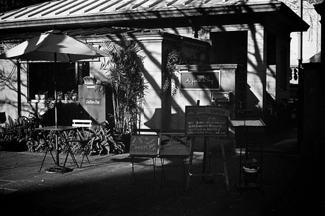 Uʐ^Ao f-2014.01.11Yokohama-M4-Summilux50mmF1.4-400TX-D76-004.jpg 2014.01.11<BR>l<BR>M4 Summilux50mmF1.4<BR>400TX D76 1:1