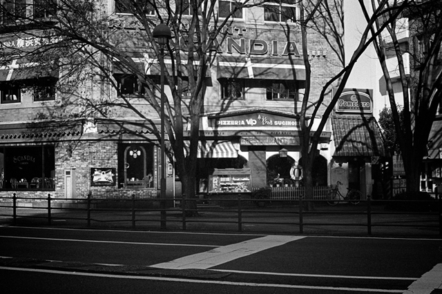 Uʐ^Ao f-2014.01.11Yokohama-M4-Summilux50mmF1.4-400TX-D76-005.jpg 2014.01.11<BR>l<BR>M4 Summilux50mmF1.4<BR>400TX D76 1:1